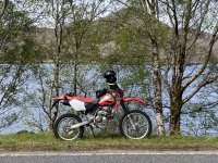 IMG_4805.jpeg