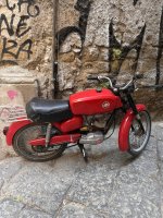 IMG_1334.jpeg