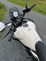 IMG_6349.jpeg
