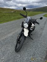 IMG_6350.jpeg