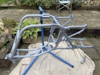 IMG_4459.jpeg