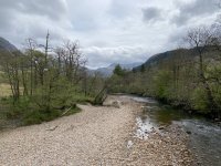 IMG_6690.jpeg