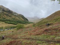 IMG_6698.jpeg