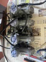 IMG_4433.jpeg