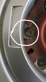 IMG_1289.jpeg