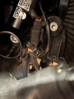 IMG_4166.jpeg