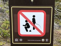 IMG_1207.jpeg