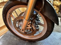 IMG_6930.jpeg