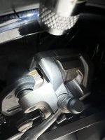 IMG_6429.jpeg