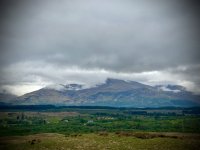 IMG_4388.jpeg