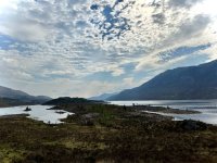 IMG_4394.jpeg