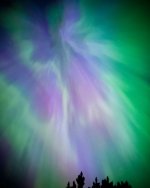 FD21E9D7-EBF4-4A51-958E-4E66589CA0D3.jpeg