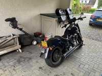 IMG_7350.jpeg