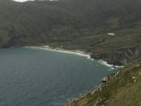 IMG_2556.jpeg