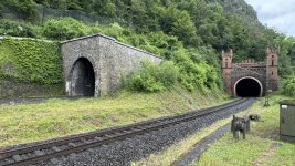 IMG_2494.jpeg