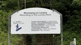 IMG_2496.jpeg