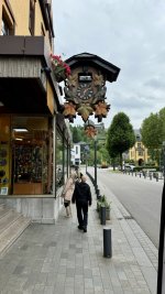 IMG_2461.jpeg