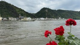 IMG_2475.jpeg