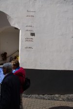 IMG_4113.jpeg
