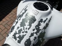 IMG_6475.jpeg