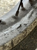 IMG_0211.jpeg