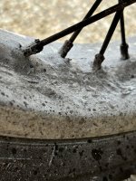 IMG_0210.jpeg