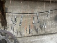 IMG_4543.jpeg