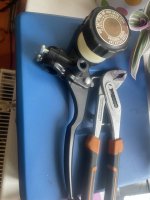IMG_4541.jpeg