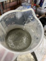IMG_2405.jpeg