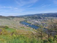 piesport.jpg