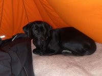IMG_2331.jpeg