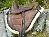 saddle.JPG