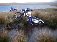 IMGP1010 (Small).JPG