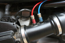 IMG_2168resize.jpg