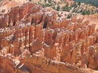 IMG_2610small.jpg