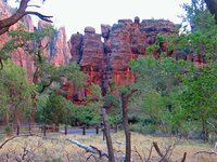 IMG_2661small.jpg