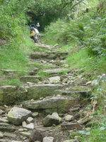 DSC05261a.jpg