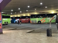 IMG_7174.jpeg