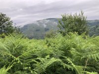 IMG_7186.jpeg