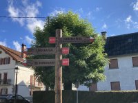 IMG_7192.jpeg
