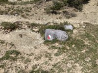 IMG_7196.jpeg