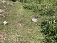 IMG_7197.jpeg