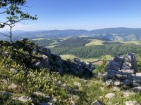 IMG_7202.jpeg