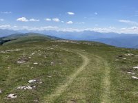 IMG_7209.jpeg