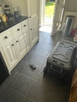 IMG_3110.jpeg IMG_3110.jpeg
