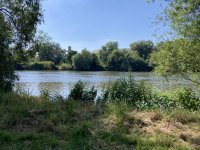 IMG_5199.jpeg