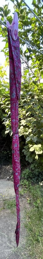 IMG_1361.jpeg