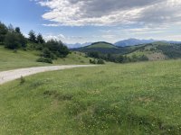 IMG_7212.jpeg
