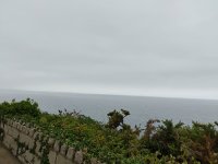 IMG_20240629_131246062.jpg