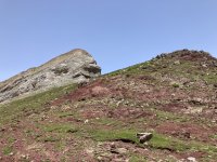 IMG_7219.jpeg